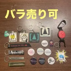 フェス　バンド　キーホルダー　缶バッジ