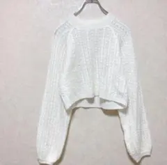 グレイル クロップド丈 ケーブルニット M ボリュームスリーブ モックネック