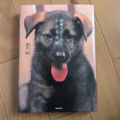 Item thumbnail for item 29c77942-f14c-457c-9d85-2f7638de72a4