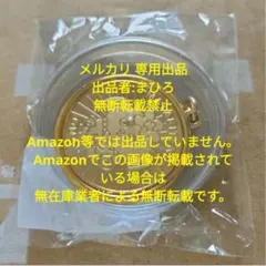 サイン入り12thシングル「Be Selfish」佐々木舞香ポスター - メルカリ