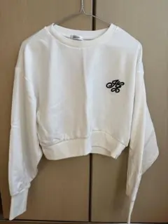 Item thumbnail for item 8d996a16-6828-4bfa-8d95-91d5be0bd055