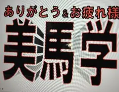 千葉ロッテマリーンズ 応援ボード A3ラミネート入 1枚 美馬選手