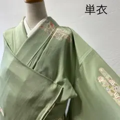 単衣　小紋　京友禅　未使用品　トールサイズ　￼唐草花模様　(カ-9)
