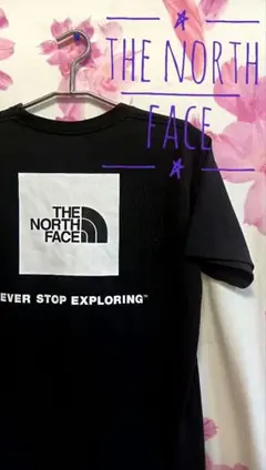 Item thumbnail for item 1bbc1b05-fdcf-4c0e-8e03-254cb144f67e