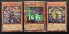 遊戯王　クローゼア・スエン・メガラ　各１枚　合計3枚