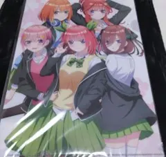 五等分の花嫁 衣装交換ver. クリアファイル