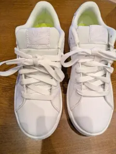 Item thumbnail for item 5740d607-d5dc-46b7-88c2-4ee07daf941a