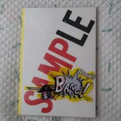 SMAP コンサートツアーのパンフレット