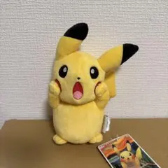 2025年最新】ムンク ピカチュウ ぬいぐるみの人気アイテム