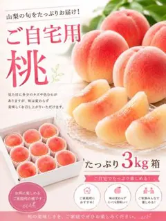本州クール便込◎約1.8kg【信州中野市産あんず 】長野県産 家庭用 