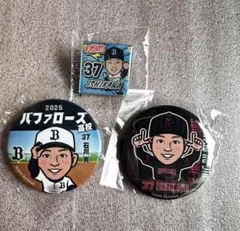 オリックス・バファローズ 37番 石川亮選手 グッズ - メルカリ