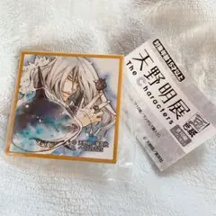 天野明展　豆色紙　スクアーロ