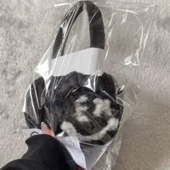 イヤーマフ  EXILE  RISING SUN TO THE WORLD