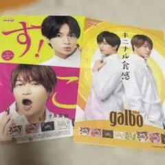 菊池風磨&中島健人明治 galbo クリアファイル &下敷きセット