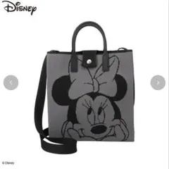レディース ニットバッグ (DISNEY)