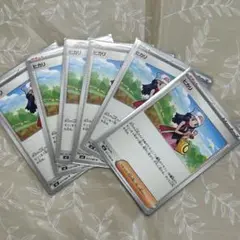 ヒカリ　ノーマル　６枚