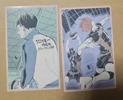 ハイキュー メモリアルコレクション 第2弾 日向翔陽 影山飛雄