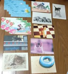 ポストカード　♡　猫　ハムスター　ミニー 京都のおまけ付き