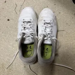 Item thumbnail for item 43e16616-19fd-4533-b9d6-9237ffe19b74