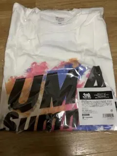 ウマ娘 プリティーダービー UMA Summer BIGシルエットTシャツ