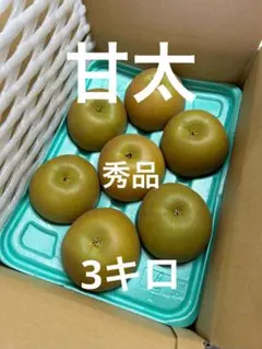 bibi様専用　甘太
