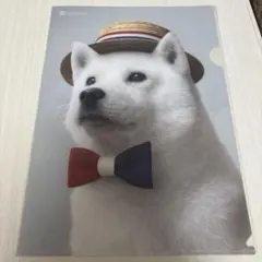 Softbank A4クリアファイル