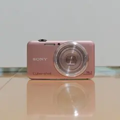 Item thumbnail for item 8cb5ef90-136c-4fbc-9373-2c0207edd971