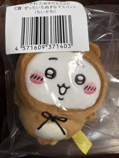 Item thumbnail for item ddfa9c83-5220-4d10-a02e-677b34dacd8e