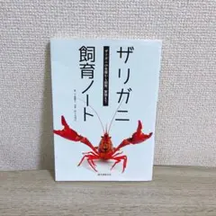 ＊購入前に自己紹介をご覧下さい＊様 リクエスト 2点 まとめ商品