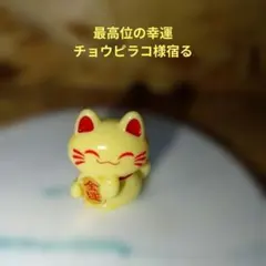 2026年最新】チョウピラコ様の人気アイテム - メルカリ