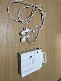 Apple純正EarPods Lightning Connector