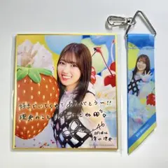 坂井新奈 日向坂46 ひなこれ チャレンジくじ リボンキーホルダー 色紙