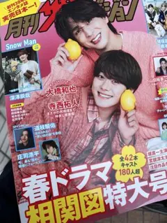 月刊ザテレビジョン　なにわ男子　道枝駿佑　切り抜き　抜け無し