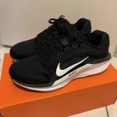 NIKE AIR WINFLO 11 メンズスニーカー ブラック