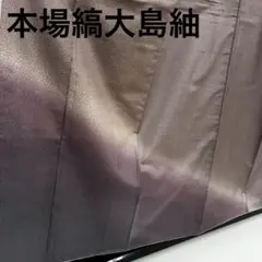 本場縞大島紬 染め大島 美しいぼかし染 付下げ 正絹 U-6430