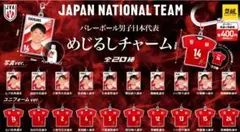 バレーボール男子日本代表 バレーボール