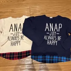 anap 130 裏起毛