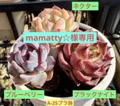 mamatty☆様 リクエスト 2点 まとめ商品