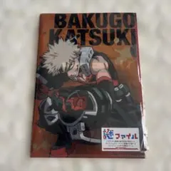 僕のヒーローアカデミア 爆豪勝己 クリアファイル