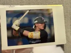 千葉ロッテマリーンズ　山本大斗