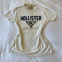 Hollister 半袖 Tシャツ カレッジロゴ