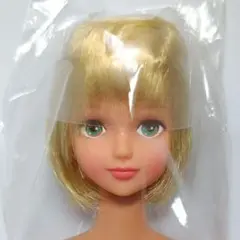 シオン　日焼け肌　ショート　おたのしみドール　リカちゃんキャッスル　27cm