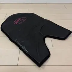 Item thumbnail for item 22d12cb5-b7e7-4c02-b47f-49beedf27a0b