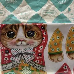 コヤンイサムチョン　私を見つめる猫No.４『ET』