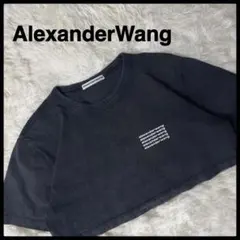【人気】AlexanderWang⭐︎クロップドTシャツXSサイズ黒ウォッシュ加工のサムネイル