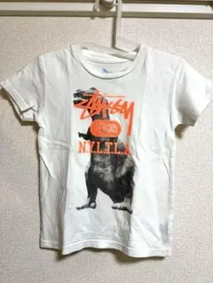 old stussy