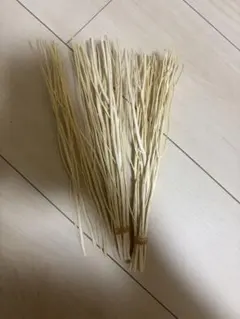 ディフューザー スティック 天然 クリームホワイト スティック