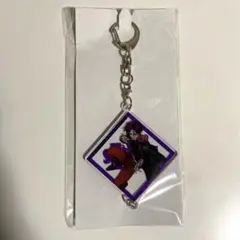 カリスマ　天堂天彦　アクキー