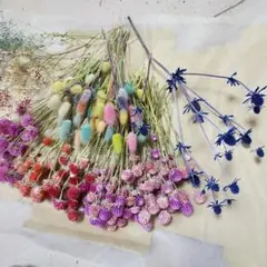 ドライフラワー 花材セット 詰め合わせ 千日紅 ラグラス