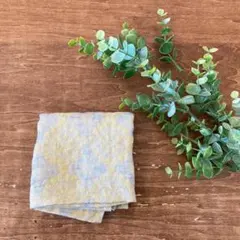 Item thumbnail for item 3d146614-05e7-45de-9af1-a54a04faf122